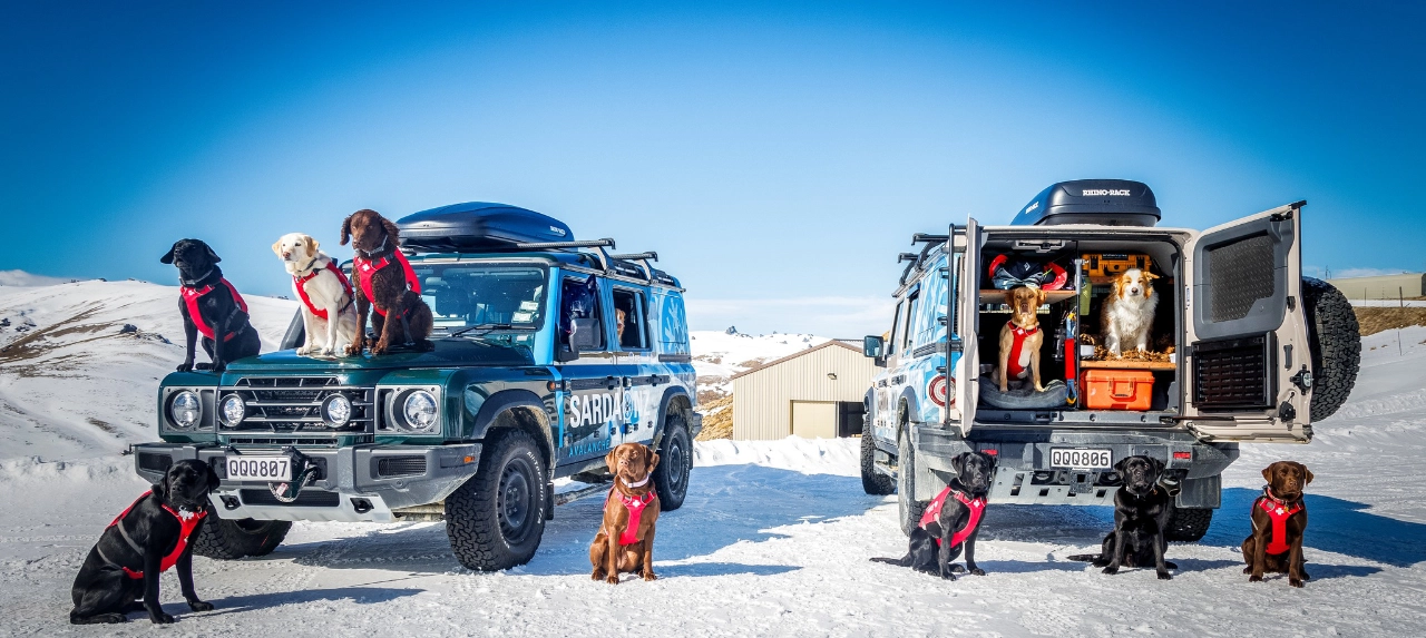 Ineos Grenadier partnering with Sarda rescue dogs
